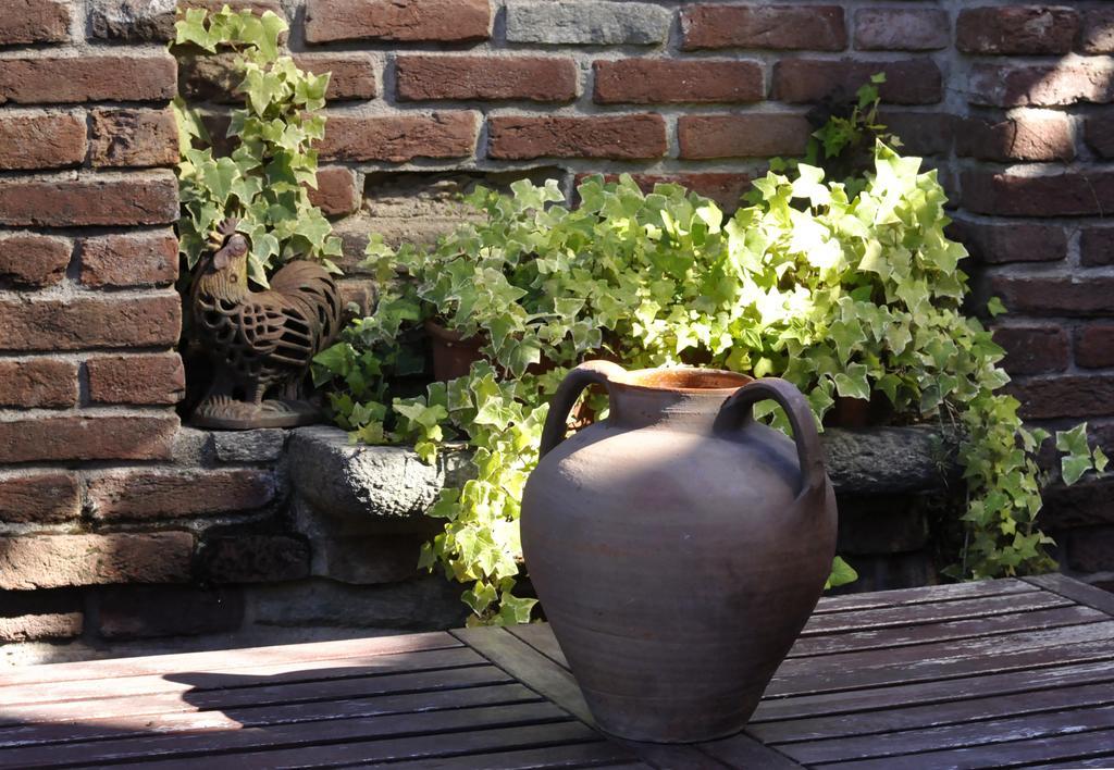 B&B Edera Castagnole Piemonte ภายนอก รูปภาพ