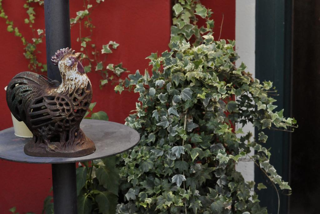 B&B Edera Castagnole Piemonte ภายนอก รูปภาพ
